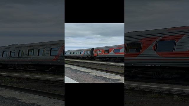Прибытие пассажирского поезда 378 "СПб-Лад. - Лабытнанги" на ст. Лабытнанги