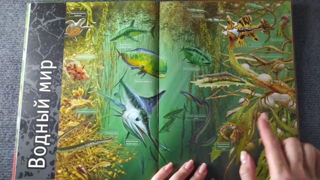 АСМР книга из ФИКСПРАЙС о животных, близкий шепот • ASMR обвожу буквы, мурашки смотреть онлайн