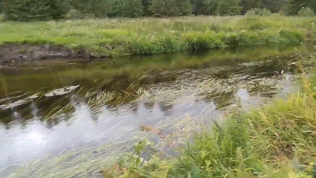 Ковров Это мое приключение к речке нерехте смотреть онлайн