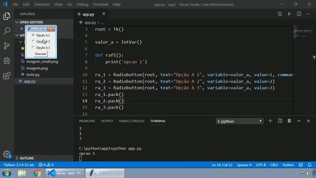 036 - Python tkinter - RADIOBUTTON