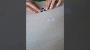 Авдеенко Л В  Божья коровка из фетра