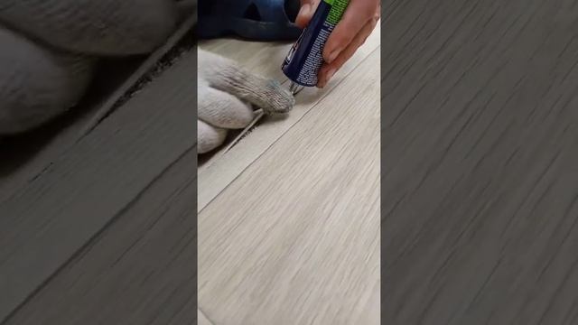 Холодная сварка швов Линолеума смотреть онлайн