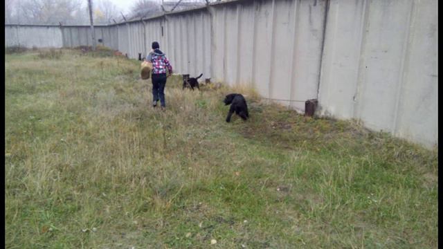 На дне. смотреть онлайн