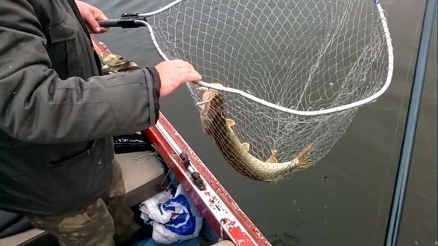 Рыбалка на Щуку р. Самара смотреть онлайн