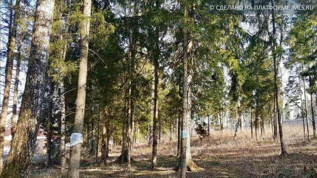 Продам Участок, деревня Зорино | 50.imls.ru смотреть онлайн