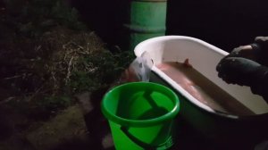 Обалденные копченые ОКУНИ в бочке коптилке