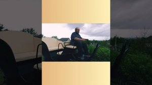 фаэтон для лошади . изготовление на заказ . обзор .