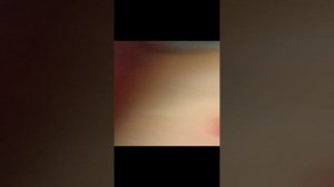VID_20231024_162312.mp4