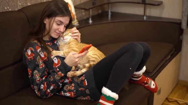 VLOG Начинаем украшать ёлку смотреть онлайн