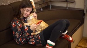 VLOG Начинаем украшать ёлку