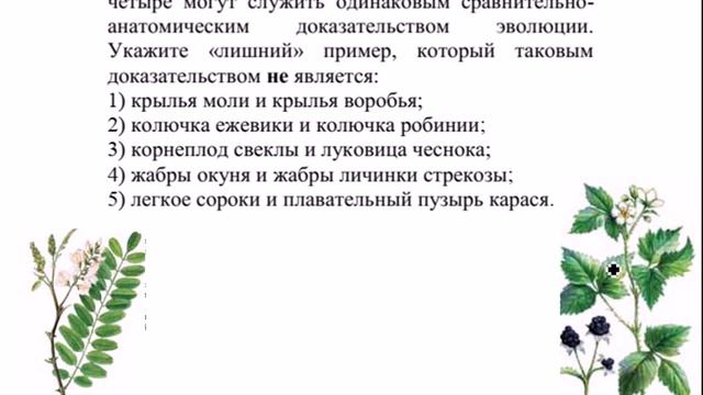 АНАЛОГИЧНЫЕ ИЛИ ГОМОЛОГИЧНЫЕ ОРГАНЫ. КАК НЕ ПЕРЕПУТАТЬ? БИОЛОГИЯ