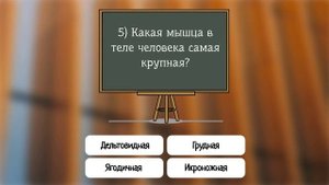Тест на общую эрудицию: "Нужно знать" - вопросы из разных сфер жизни