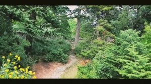 Никитинский ботанический сад 2019