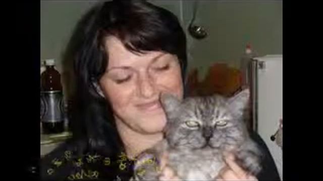 Теплый кот Вася смотреть онлайн