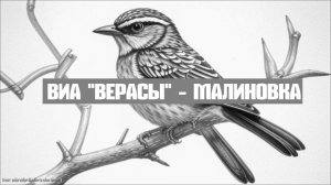 ВИА «Верасы» - Малиновка (Симфонический металл) ИИ