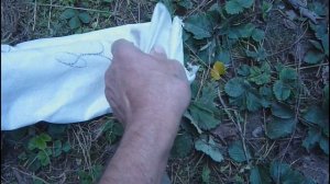 Утепление вентиляционных отверстий подвала подпола