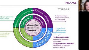 КАК ВНЕДРИТЬ МОДЕЛЬ БИЗНЕСА PRO-AGE