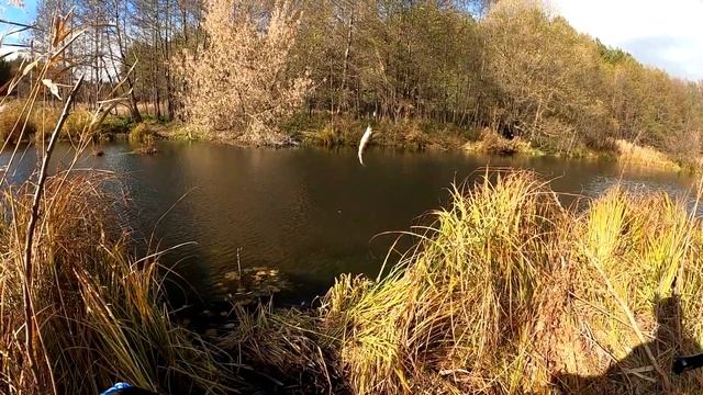 МОРМЫШКА из СВИНЦА это Хорошо или Плохо? Рыбалка на СПИННИНГ на Микроречке.