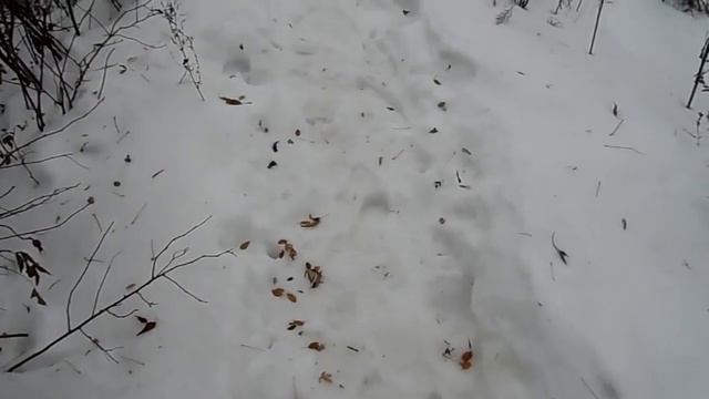 Зимние комары !!! смотреть онлайн