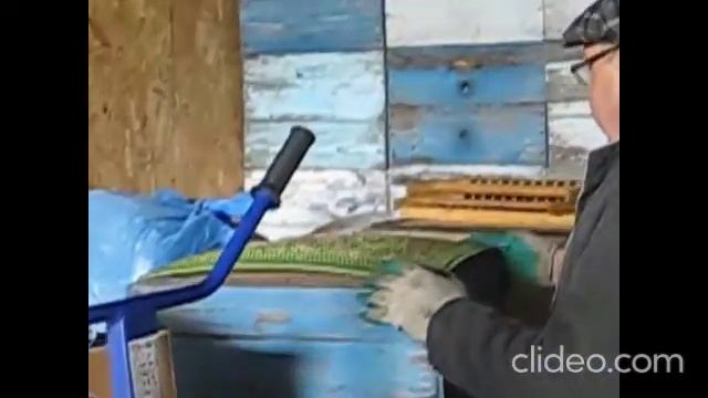 Экскурсия на пасеку 400+ в Воронежскую область к  Сущенко Игорь Николаевичу