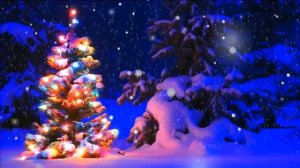 Футаж Новогодняя елка с огоньками в лесу