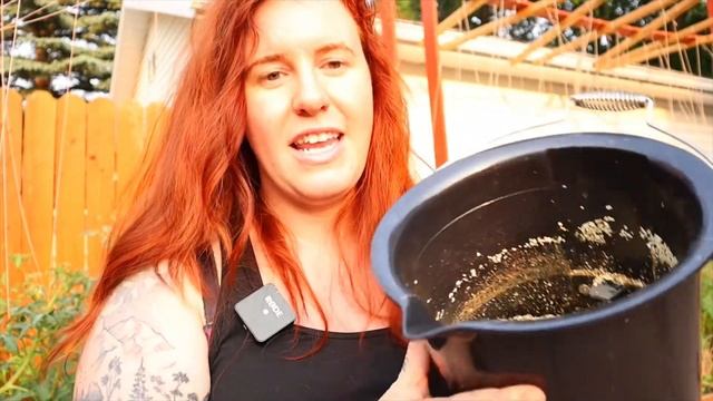 How To Use The Electric Compost Byproduct! смотреть онлайн