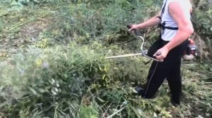 Husqvarna 143R-II в работе.