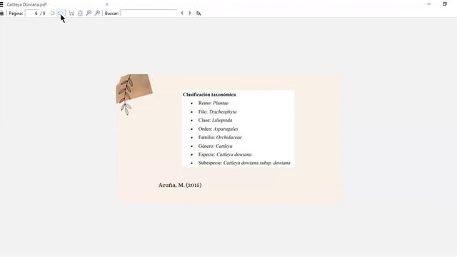 Cattleya Dowiana смотреть онлайн