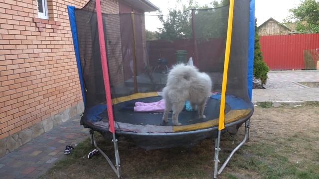 VLOG Что-то намечается смотреть онлайн