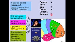 8. Дубынин В. А. - Мозг_ как он устроен и работает - Лекция 8.mp4