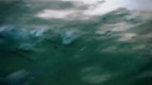 Split. Тайна крови. Лео и Элла