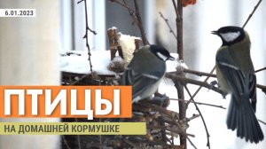 Кормушка для птиц