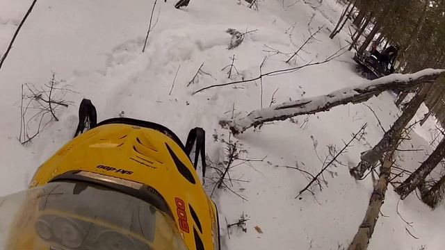 skandic  20 pouce dans bois 2
