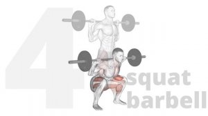 6 упражнений на все группы мышц