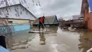 Спасение собак  во время  наводнения в  г. Орске