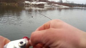 Эта снасть ПОЙМАЕТ ВСЕГДА!Опять наловил густеры.