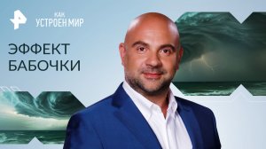 Эффект бабочки — Как устроен мир с Тимофеем Баженовым (15.06.2023)