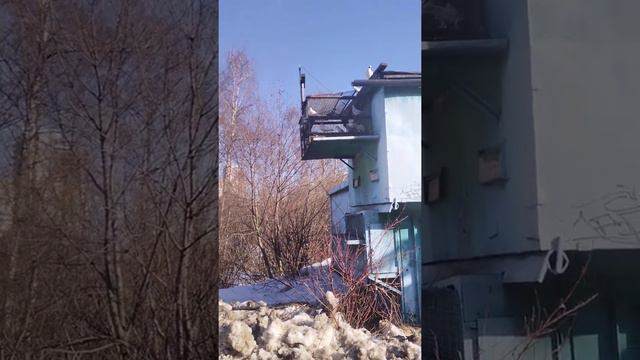 Москва Орехово Борисово Южное )))
