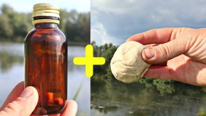 НА ЭТОТ ЗАПАХ СБЕЖИТСЯ ВЕСЬ КАРАСЬ С ВОДОЕМА! Вотрите в тесто прикормку мяту для супер клева карася