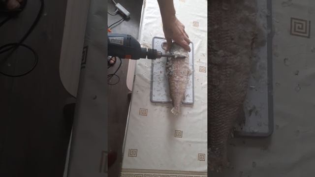 Как чистить рыбу дрелью