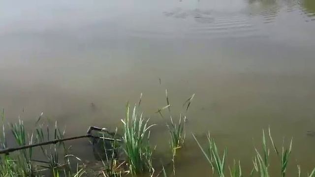 Мэйджер смотреть онлайн