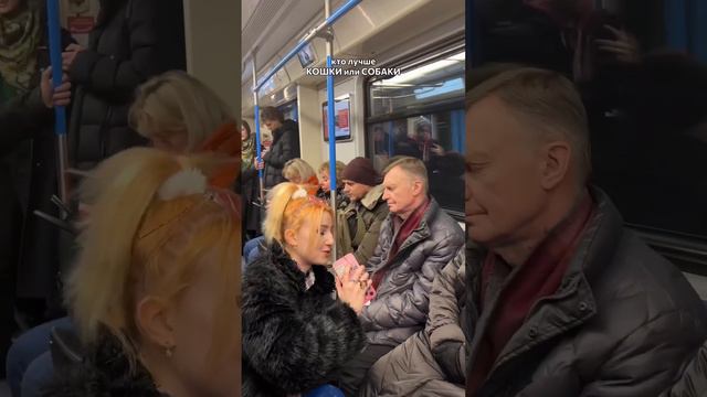 ОТДАЮ СВОИХ КОШЕК В МЕТРО