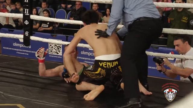 Куликово поле 2015 смотреть онлайн