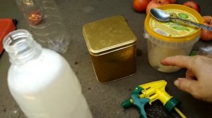Как быстро избавиться от мучнистой росы на огурцах и флоксах...не химия...