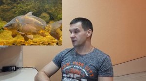 Какие виды карпа бывают. 5 основных видов самой популярной рыбы.