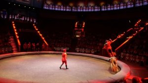 Стойкий Оловянный Солдатик  - Большой Московский цирк на проспекте Вернадского