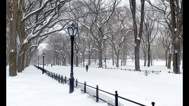 L'ombra vaga dell'inverno (Simon & Garfunkel) смотреть онлайн