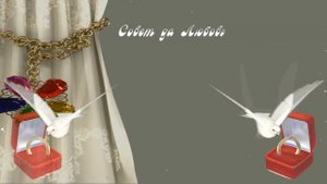 03 С ДНЁМ СВАДЬБЫ