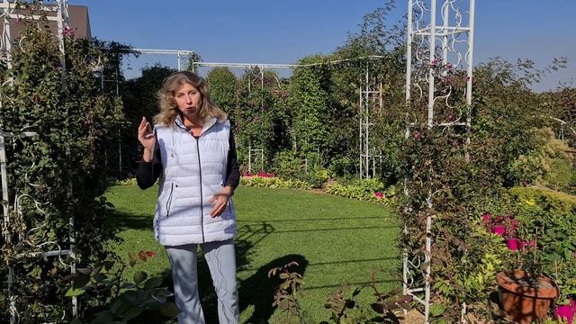 Зачем я спилила КРАСИВЫЕ взрослые ЯБЛОНИ? И что теперь будет вместо них? смотреть онлайн