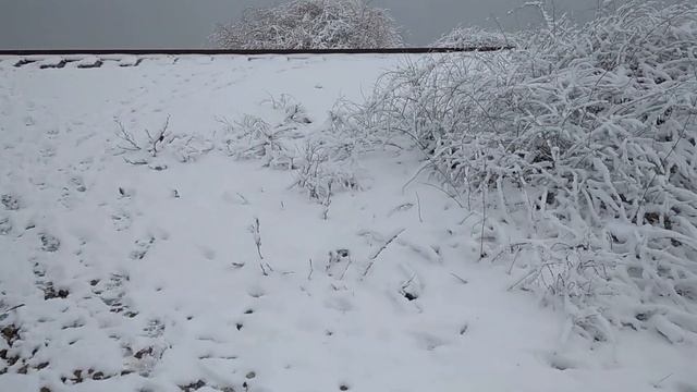 КРАСНОДАРСКИЙ КРАЙ - ПОГОДА В ФЕВРАЛЕ, ЗАБОЛЕЛИ ПОСЛЕ ПРОГУЛКИ, РЕЦЕПТ КАПУСТЫ ПРОВАНСАЛЬ смотреть онлайн